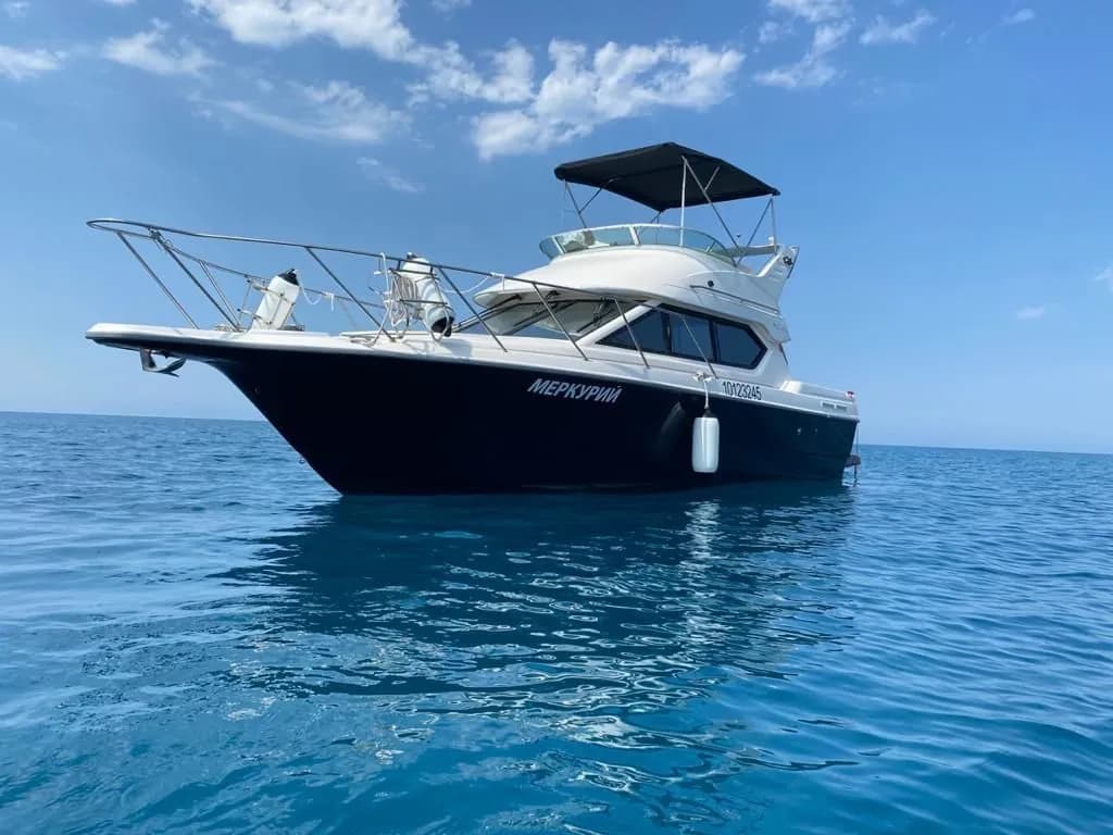 Tekne - Adler Kiralık Bayliner 288 9.6m 