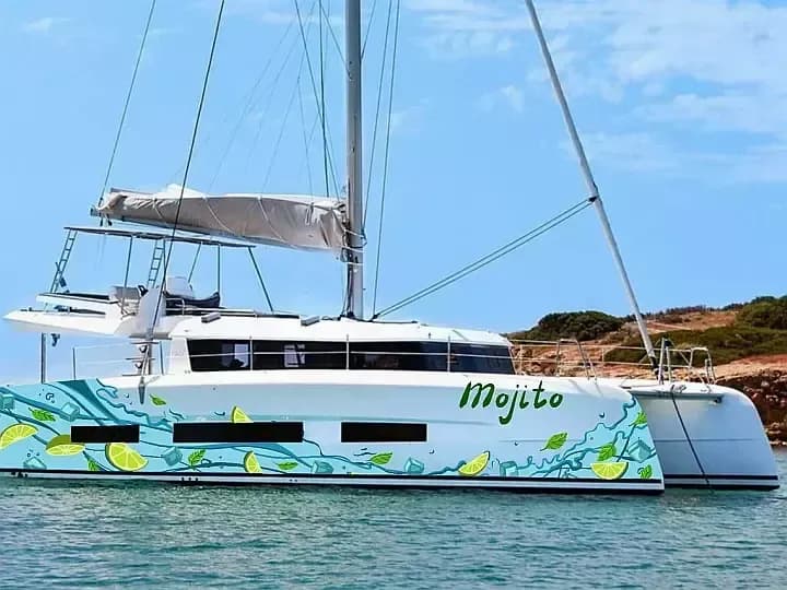 Tekne - Pirovac 14.7m Kiralık Dufour Catamarans 48 Katamaran
