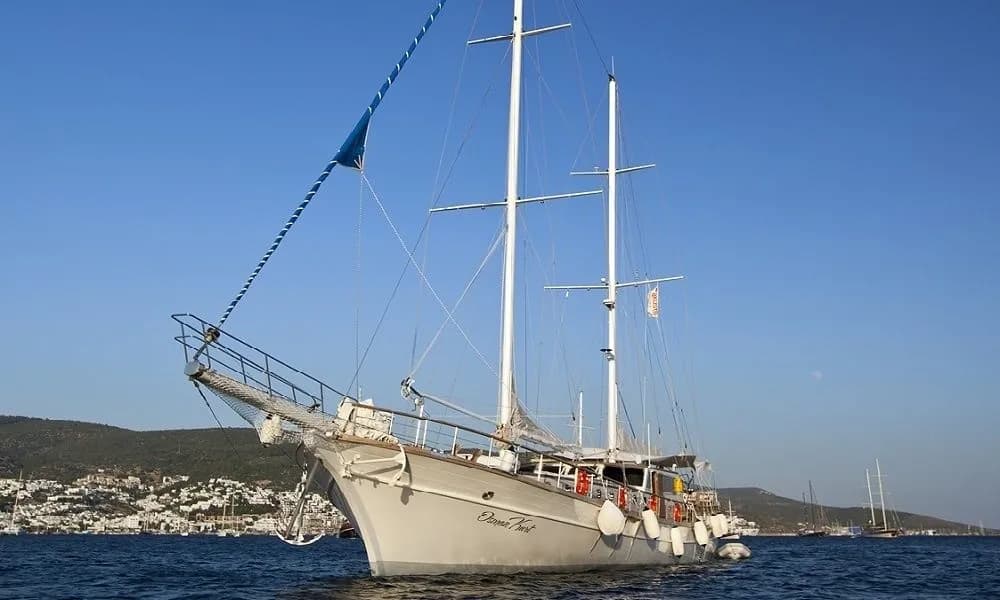 Boat - Rent a 32m Gulet 105 Gulet in Bodrum