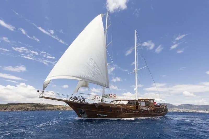 Boat - 33m Bodrum 7 Cabin Gulet Hire