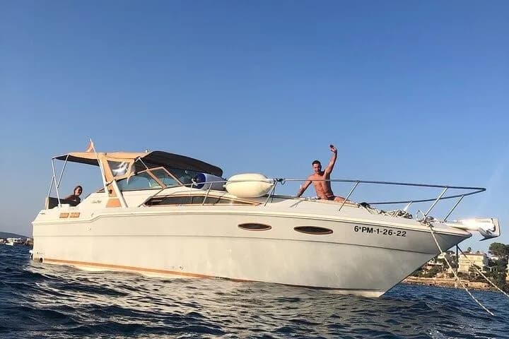 Tekne - Palma de Mallorca Kiralık Sea Ray 300 8.7m Motoryat
