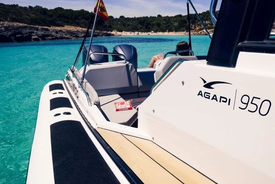 SA 950 Charter Boat