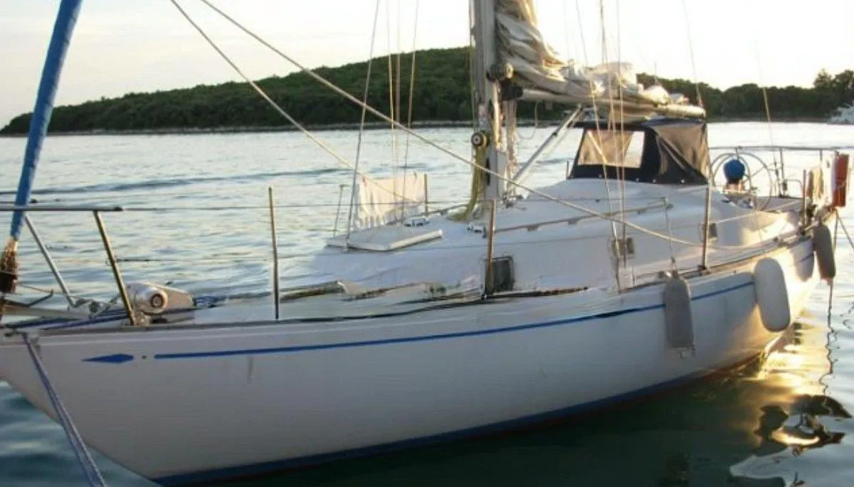 Чартер Mini Swan - 3