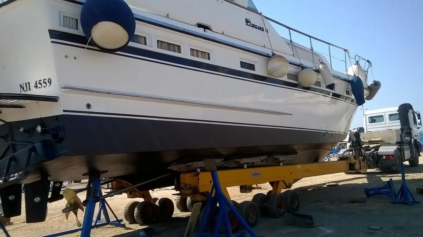 Чартер Georgia - 3