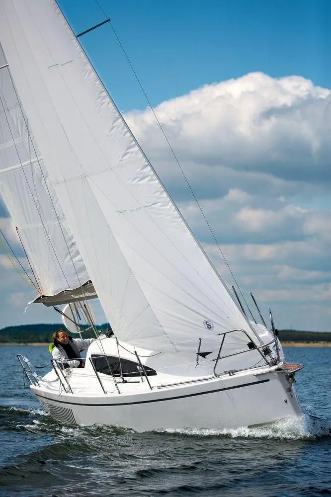 Shrek Charter Boat - 3
