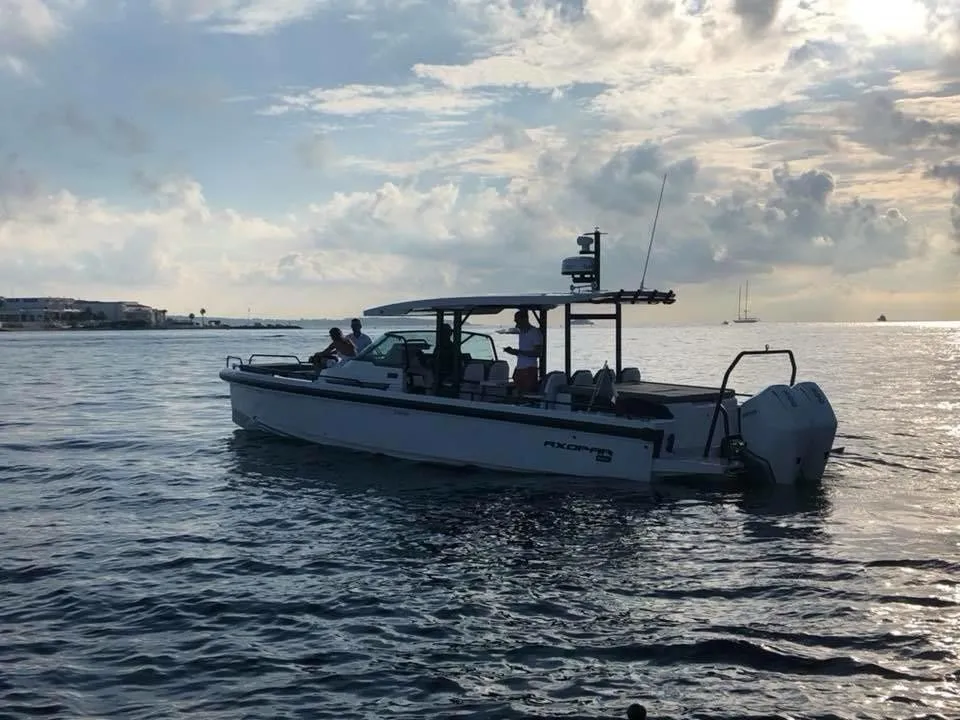 Чартер Brabus - 4