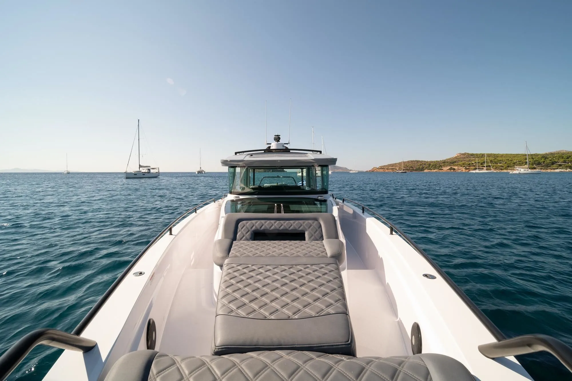 Sea Dog Charter Boat