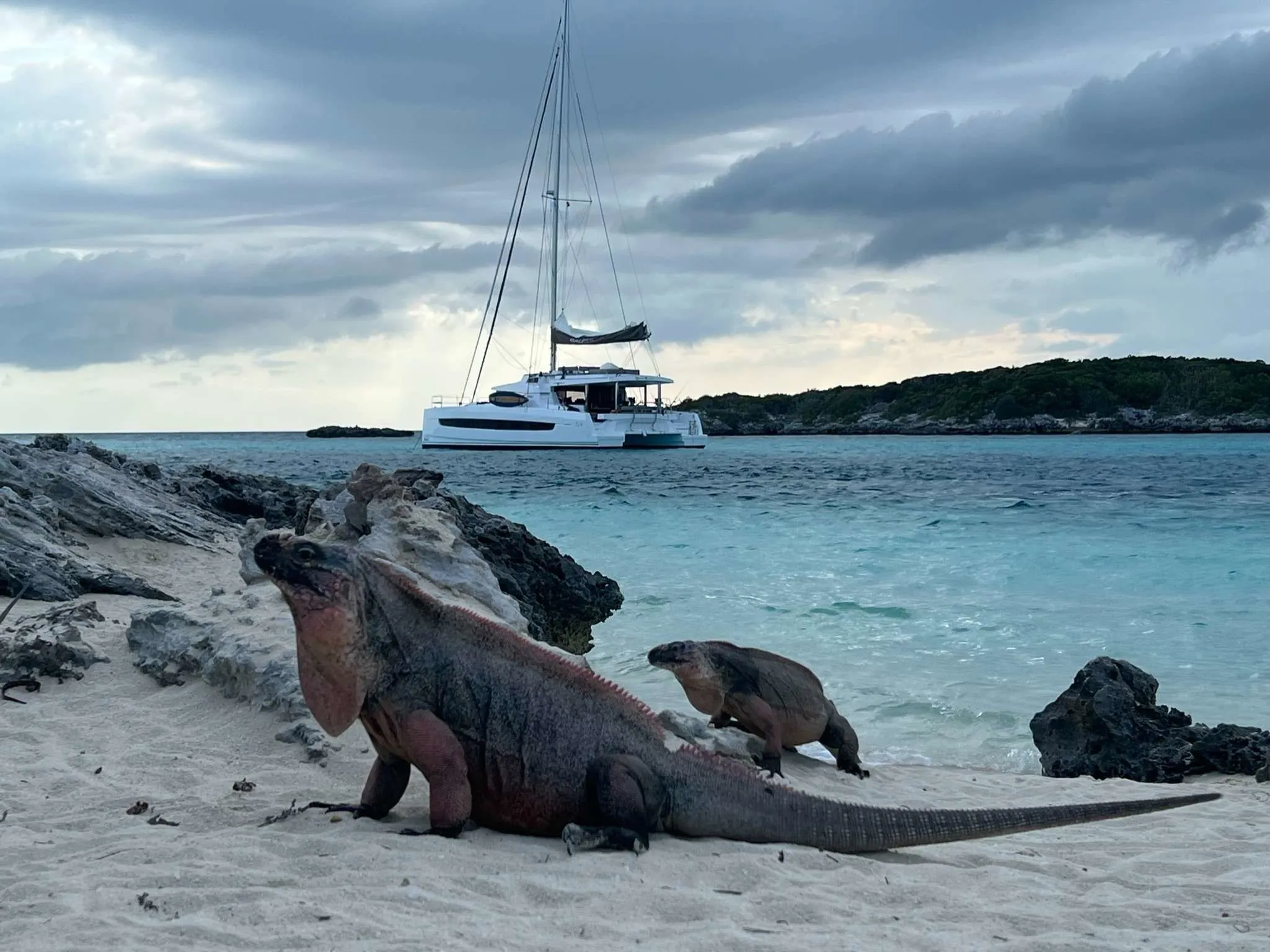 Location Charter Boat - 4