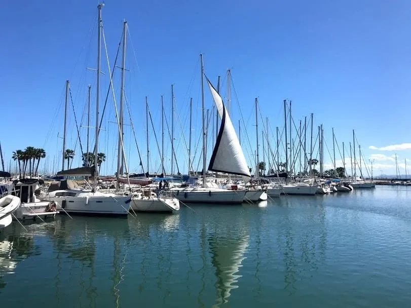 Чартер Angel - 4