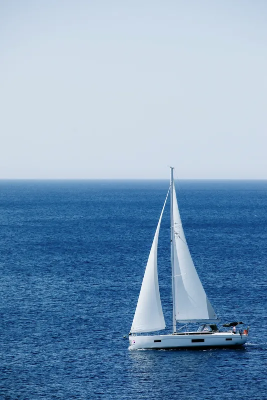 Чартер Elli - 3