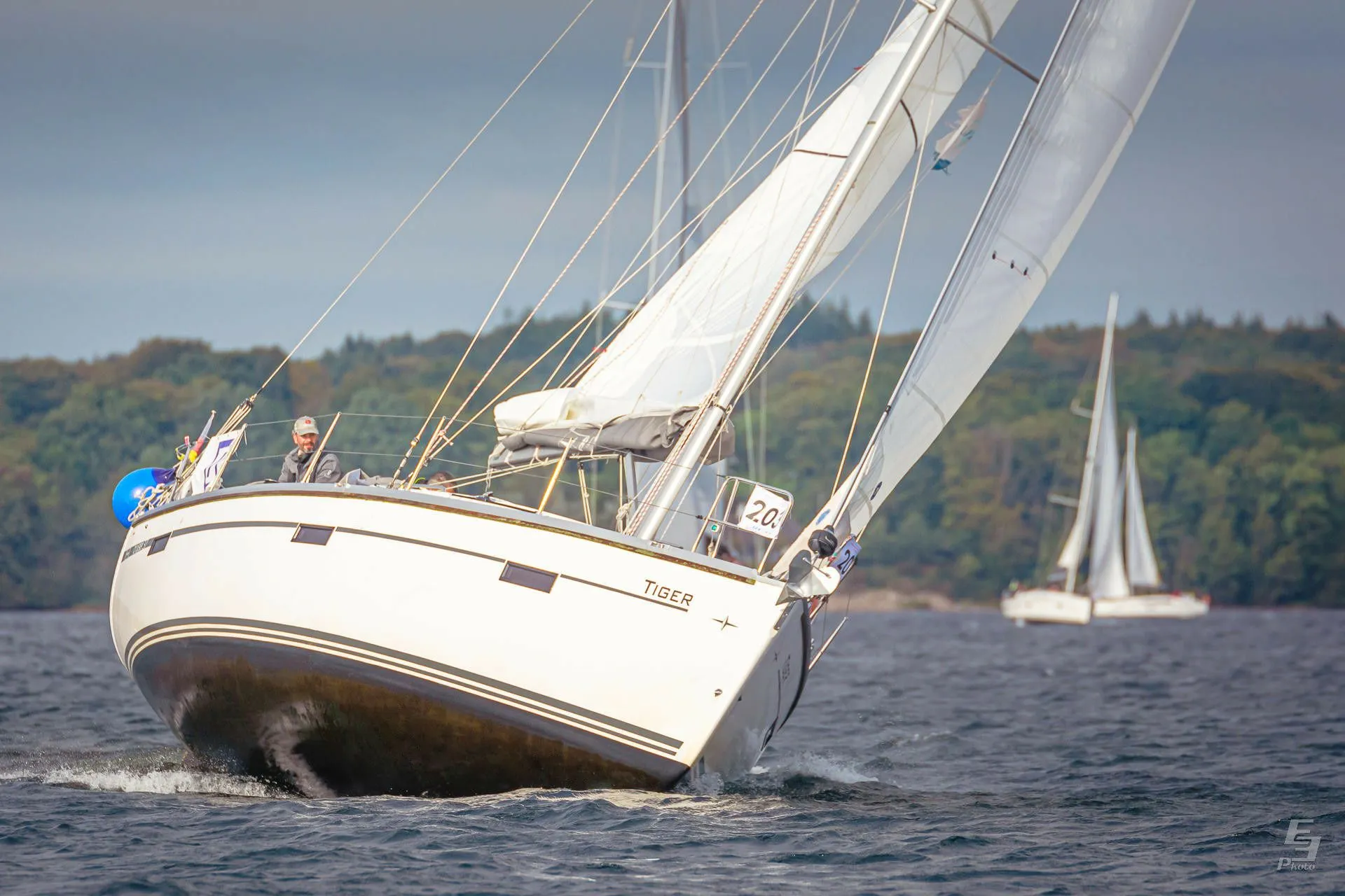 Tiger Charter Boat - 5