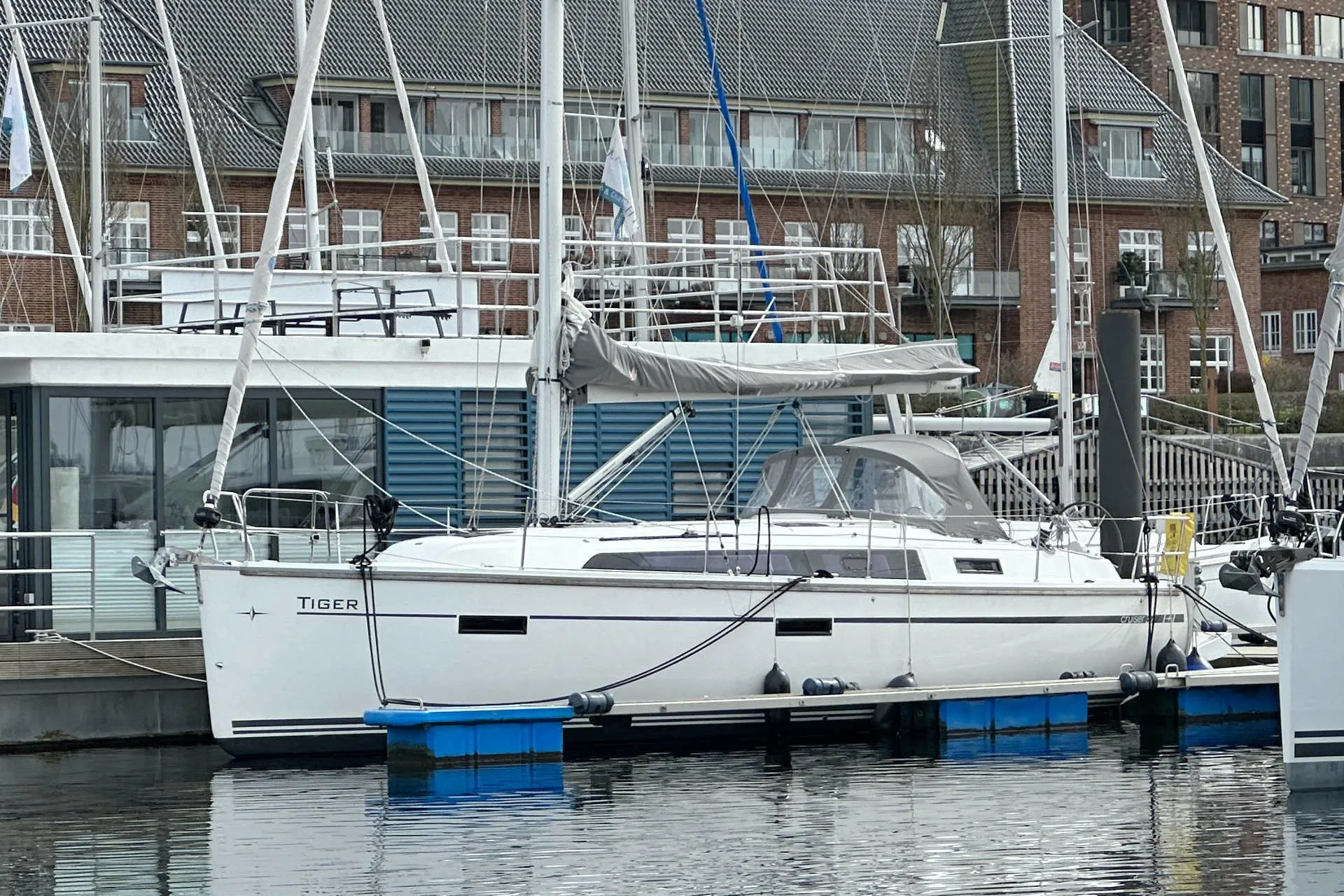 Tiger Charter Boat - 3