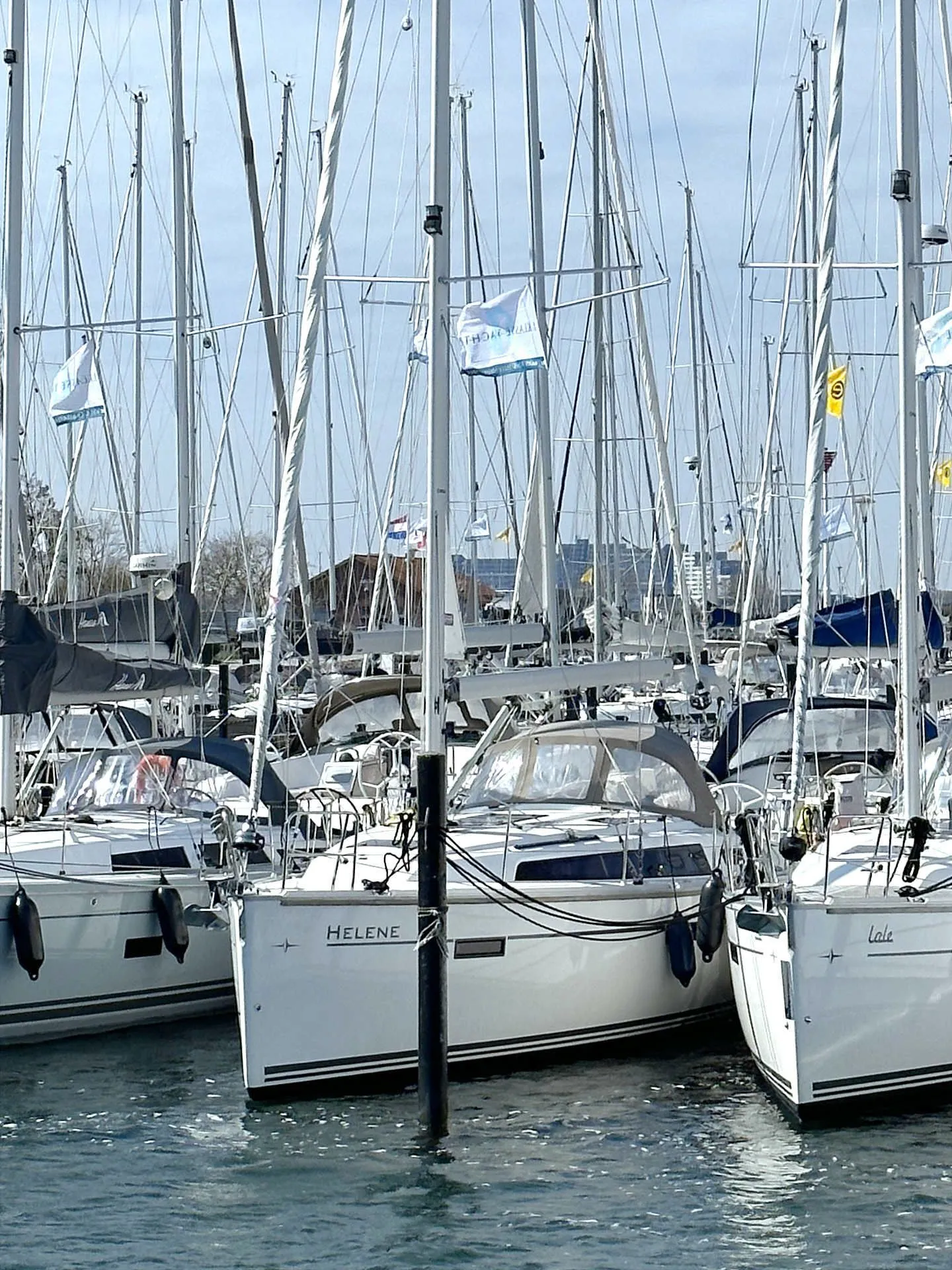 Helene Charter Boat - 4