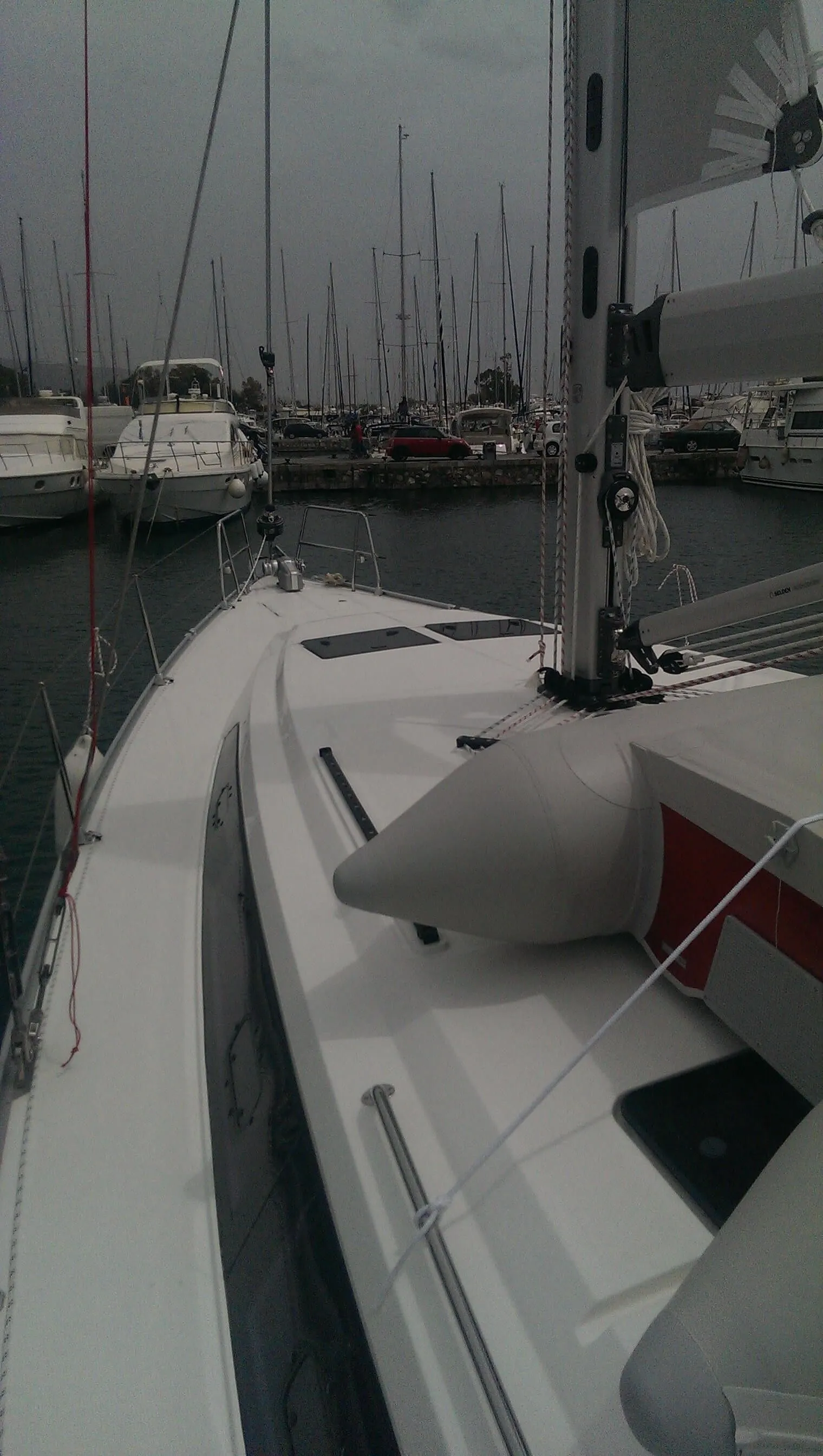 Чартер Pinot Gris - 4