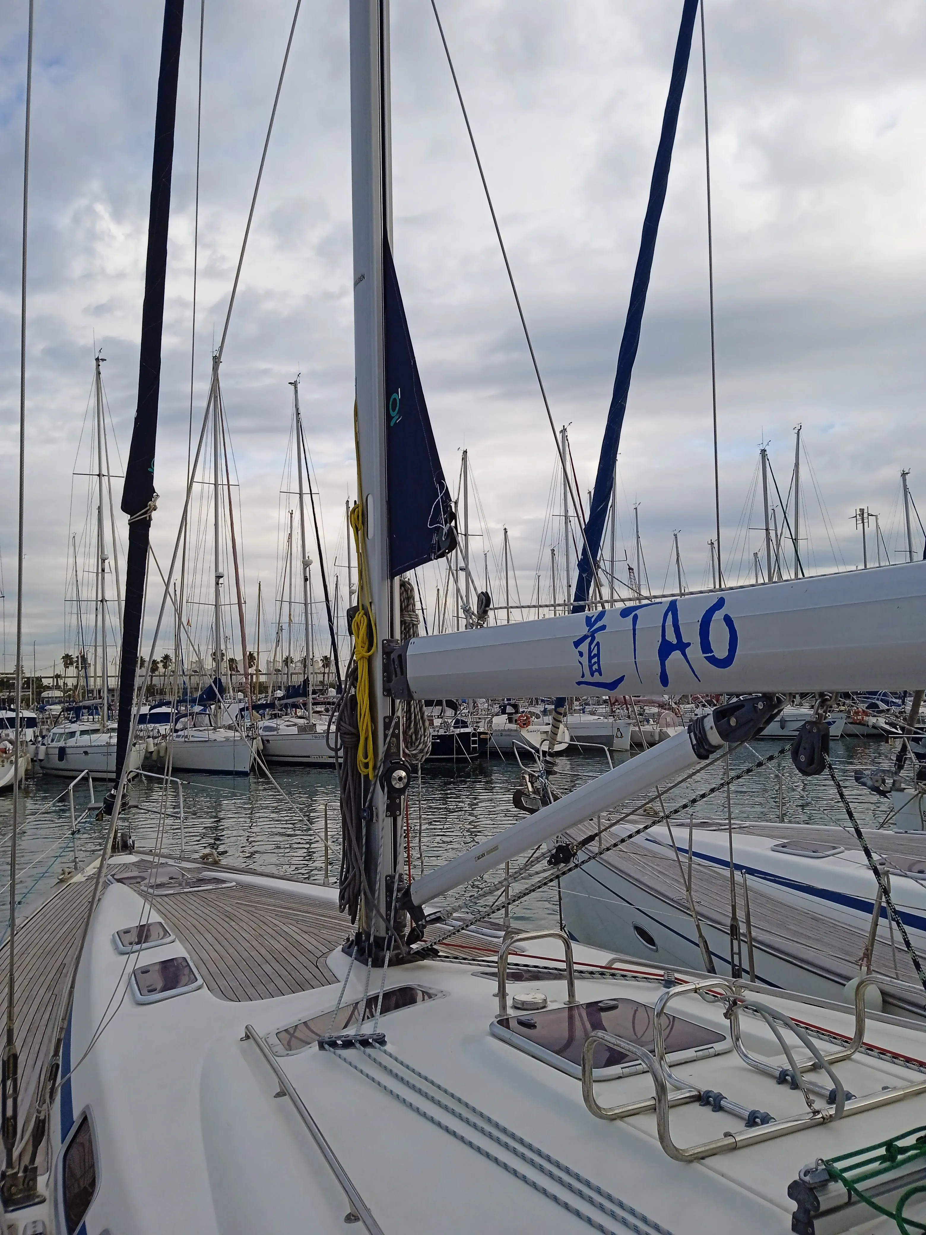 Чартер Tao - 5