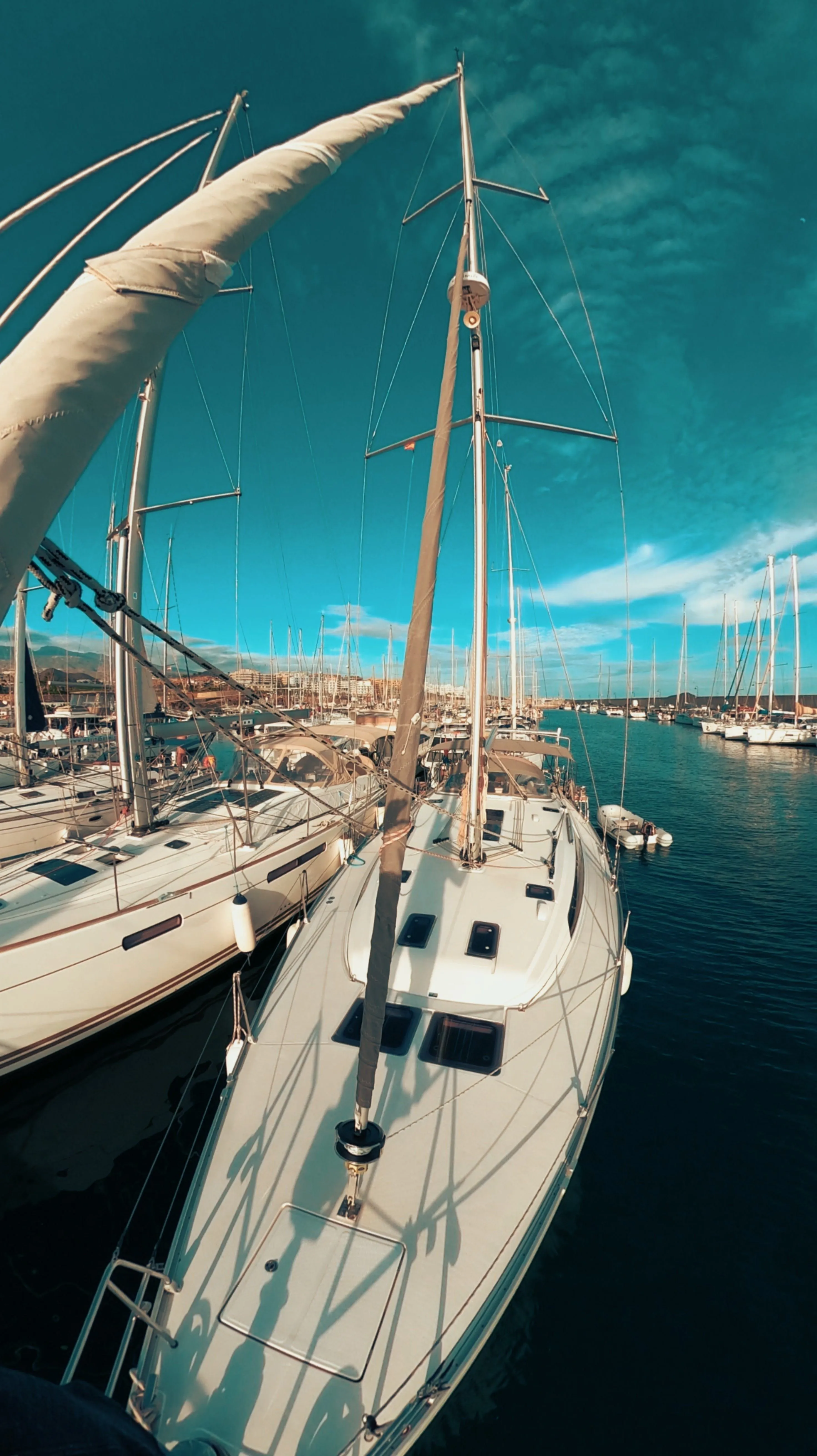 Teorema Charter Boat