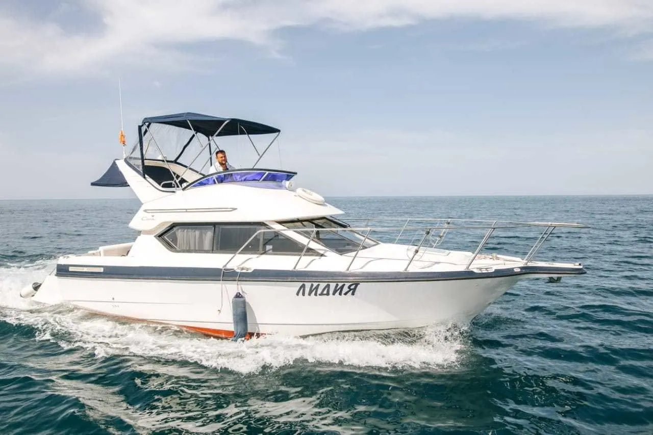 Boot - Rent a 10m Bayliner 288 in Sochi