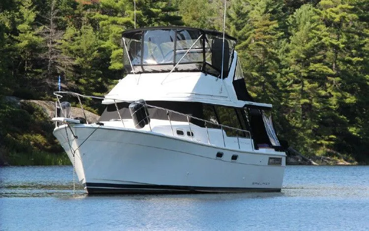 9.75m Nanaimo Bayliner 3288 Hire