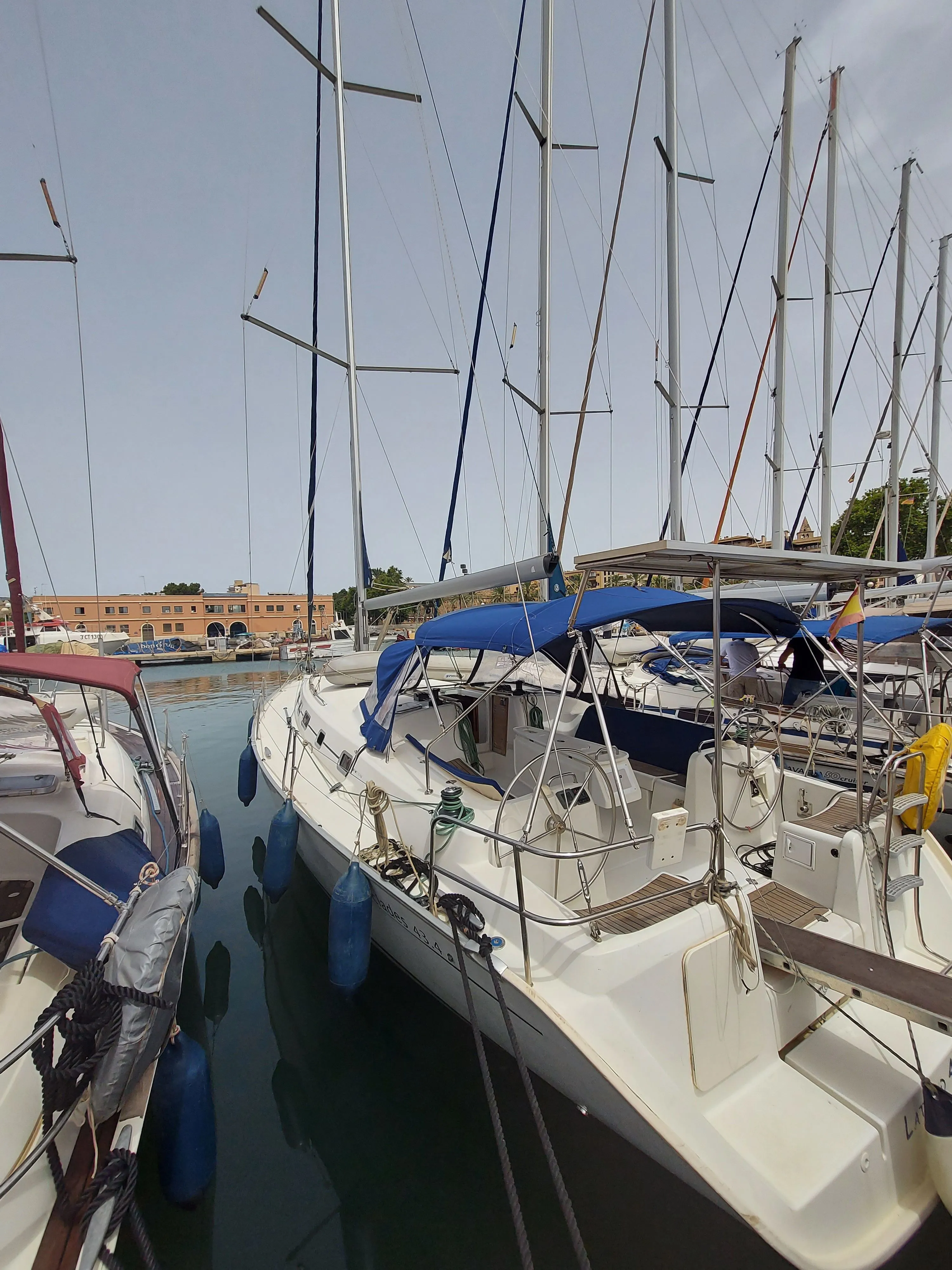 Чартер Latitud 4 - 4