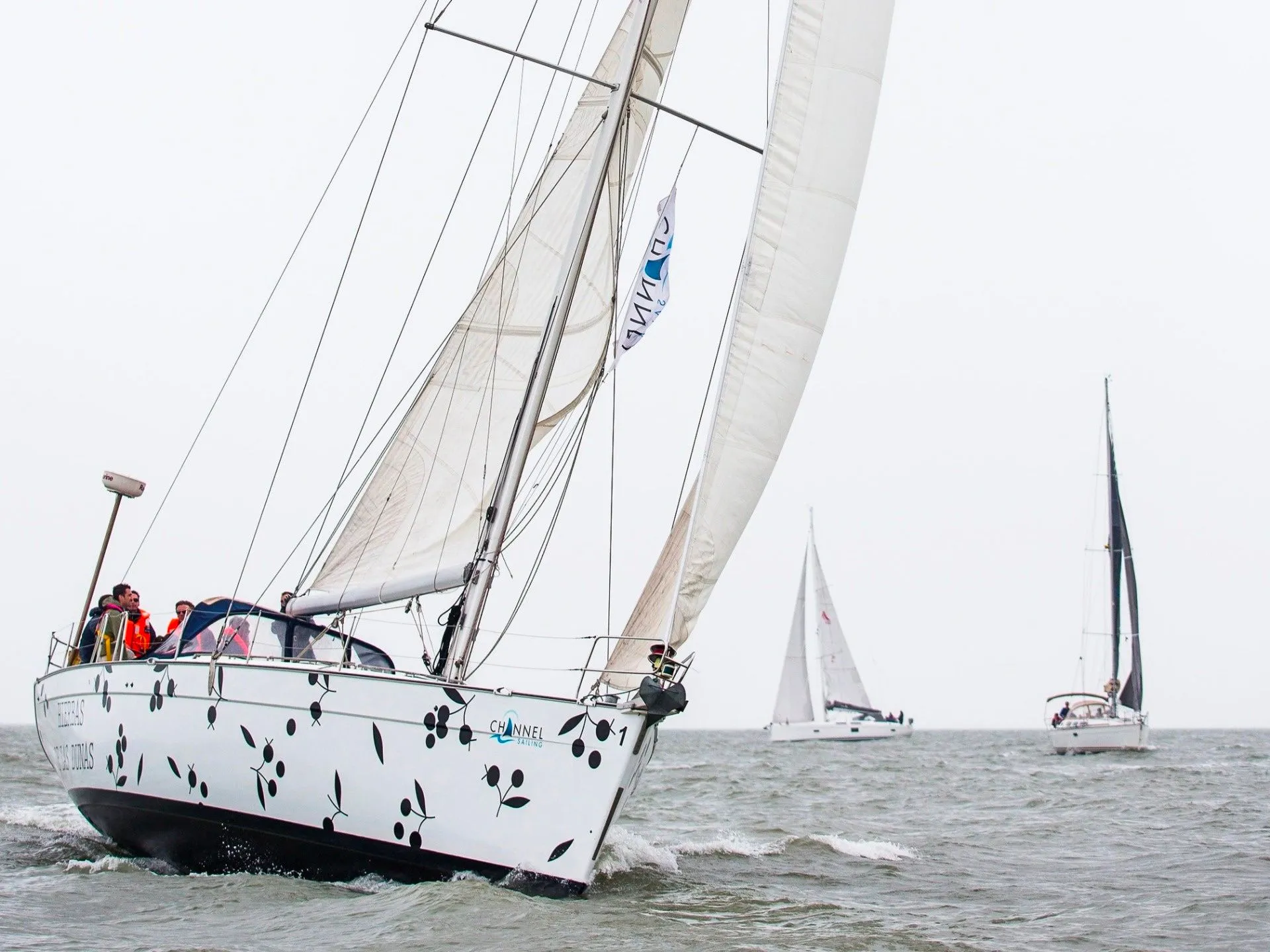 Rent a 15.65m Sailing Yacht Beneteau Cyclades 50 in Cadzand