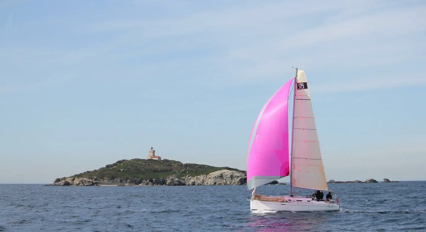 Чартер Pelagos D - 3