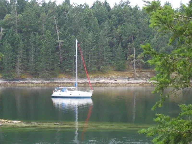 11.74m Nanaimo Boat Hire