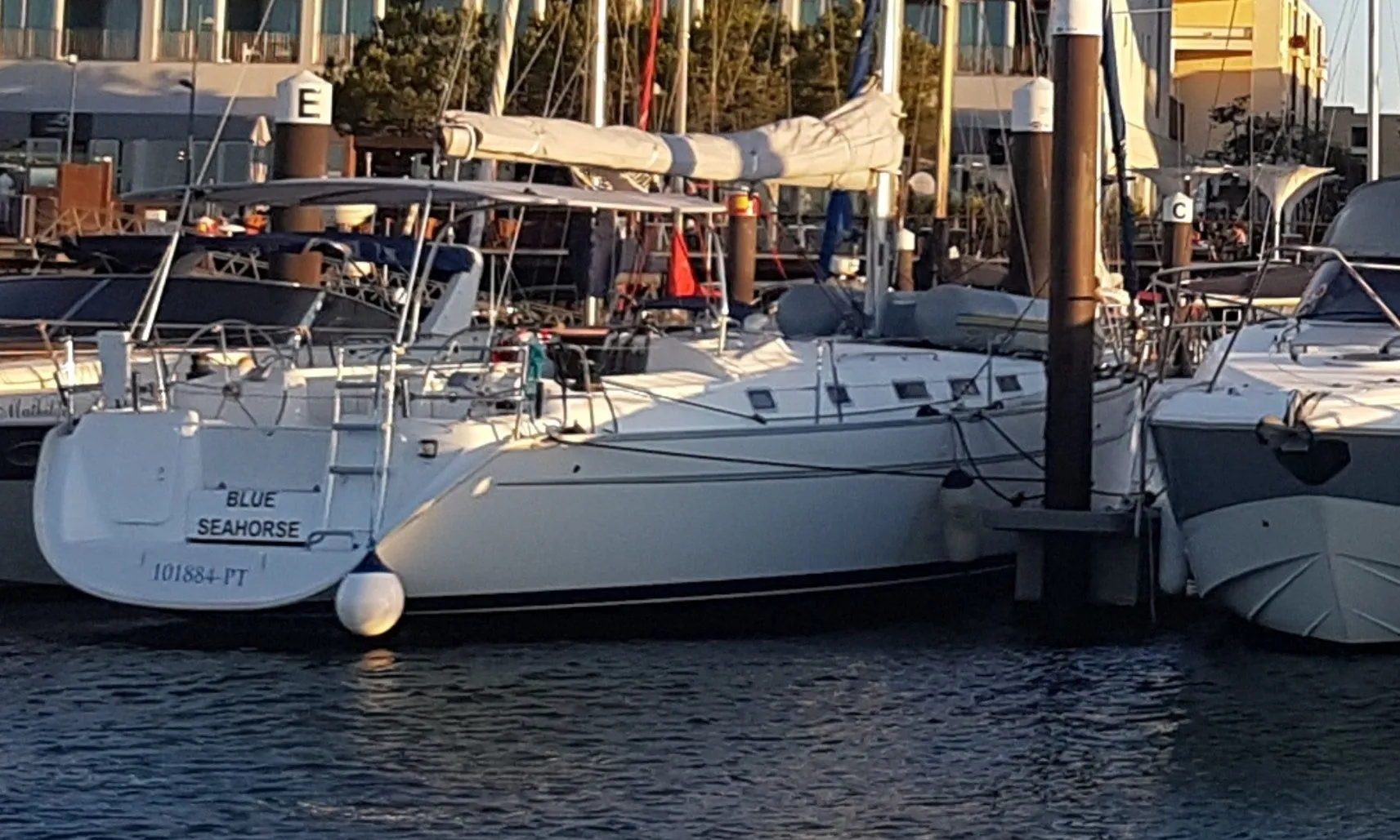 Blue Seahorse Charter Boat