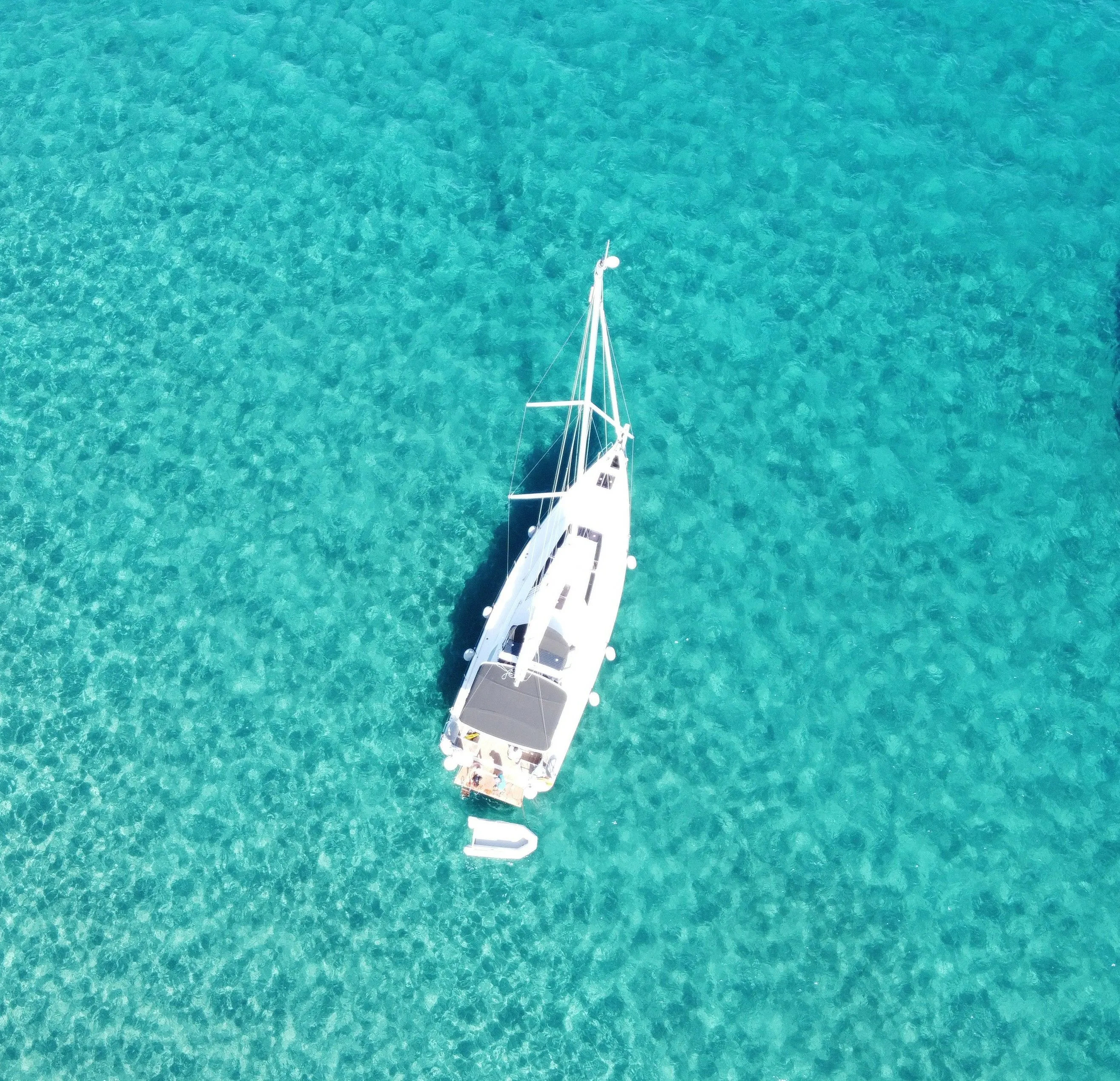 Wolf Charter Boat - 4