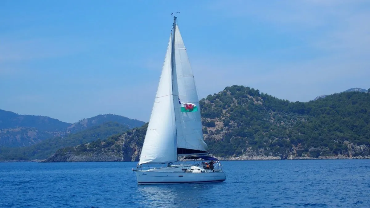 Чартер Zippy - 5