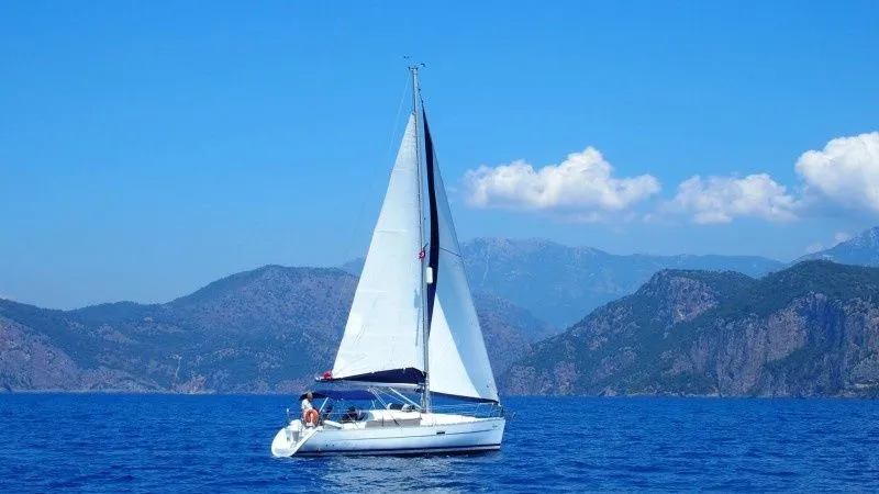 Чартер Zippy - 4