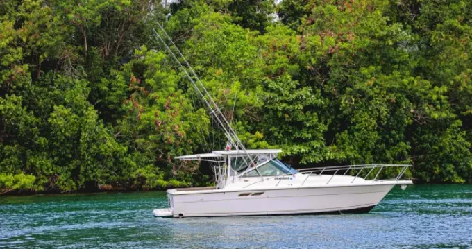 Explore La Romana on a 9.44m Rental Motor Boat