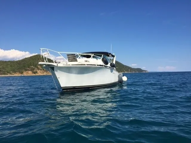 Giro in Giro Charter Boat