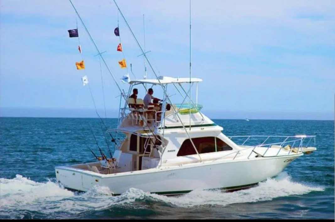 Explore Can Picafort on a 11m Rental Bertram 42