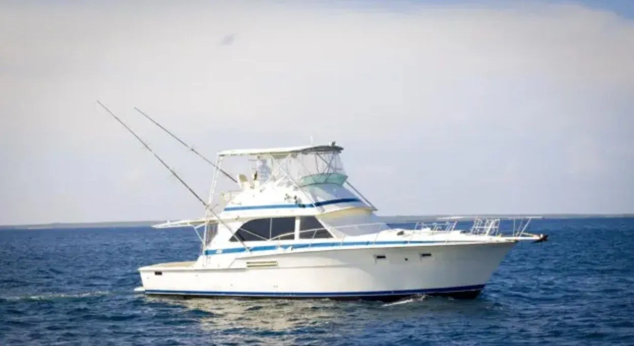 Elaine Charterboot - 3