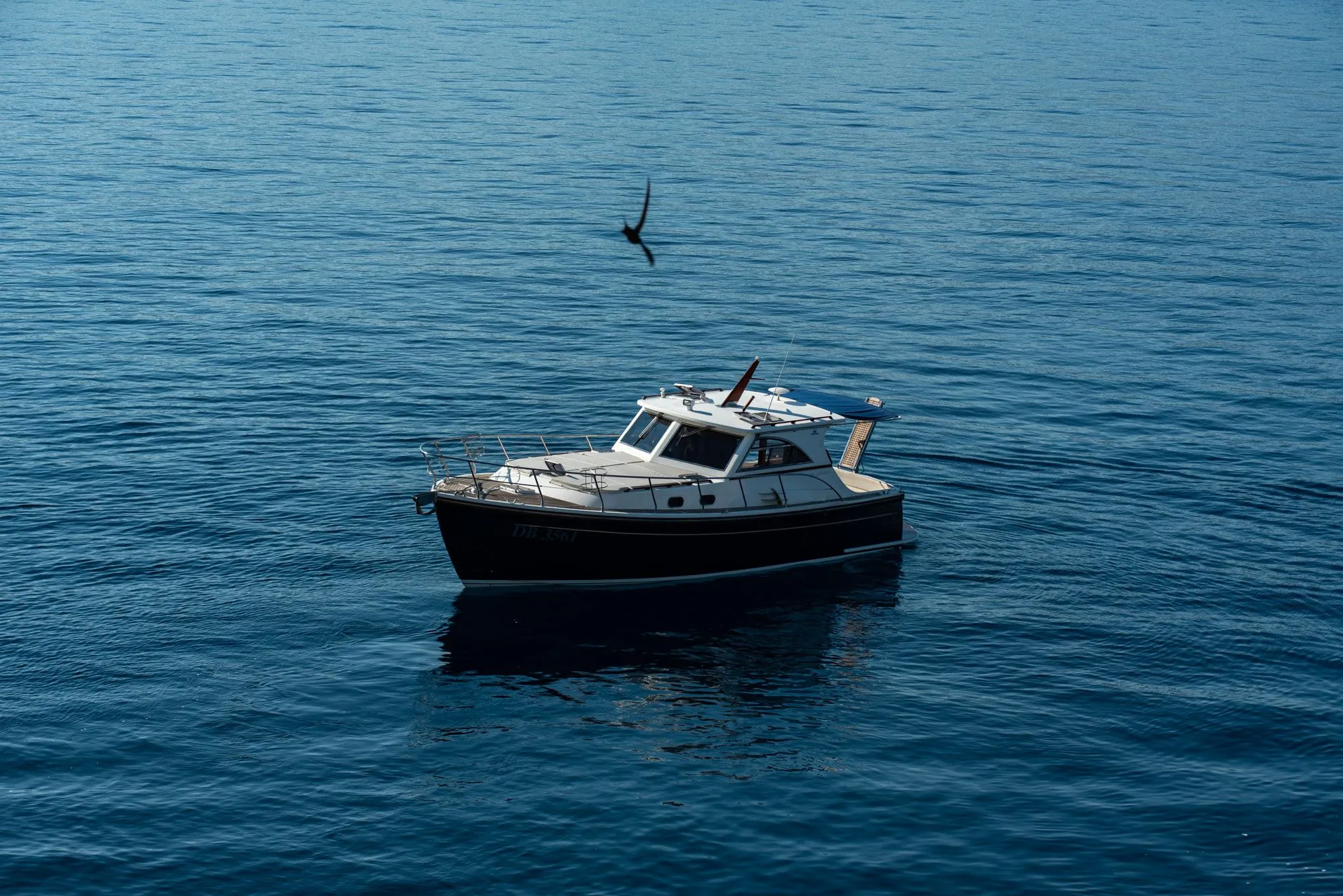 Pepi Charter Boat