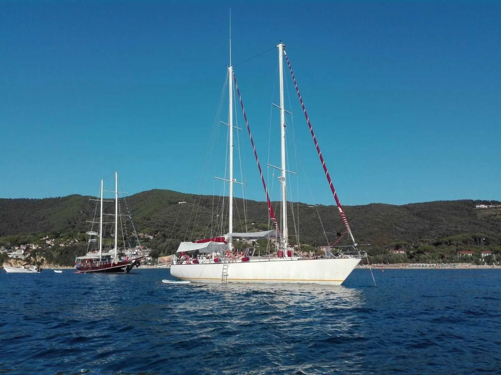 Rosie Probert Too Charter Boat - 3
