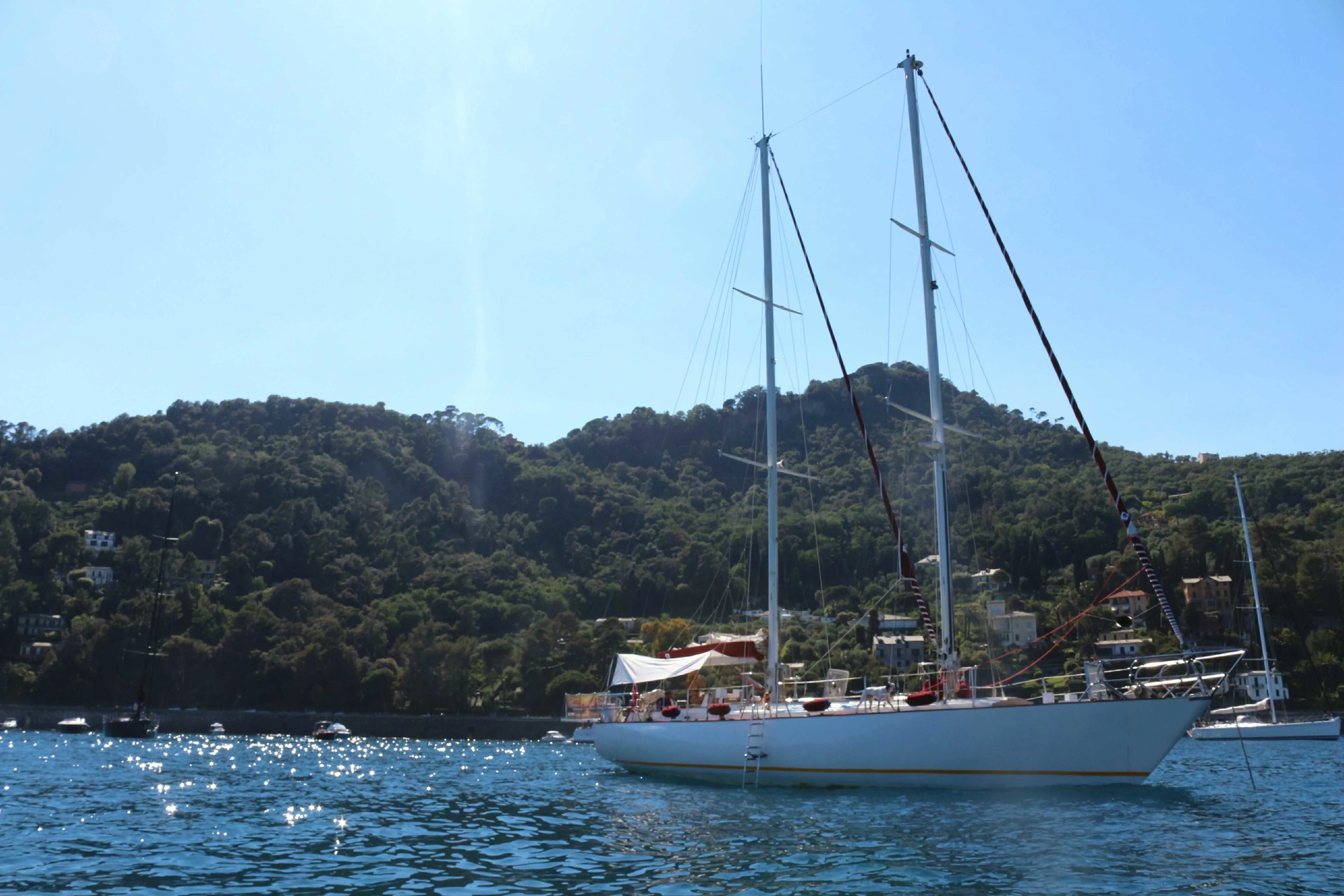 Rosie Probert Too Charter Boat - 5