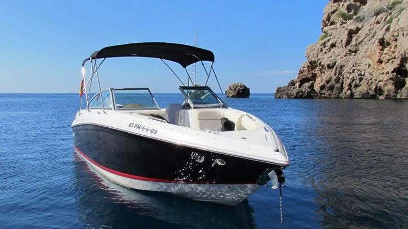 Cobalt Bowrider Charter Boat