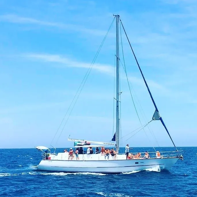 Artivela Charter Boat