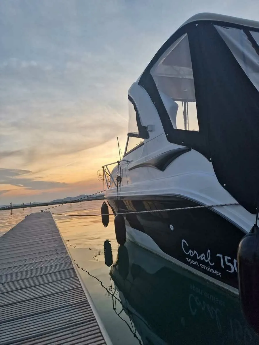 Delfin 1 Charter Boat