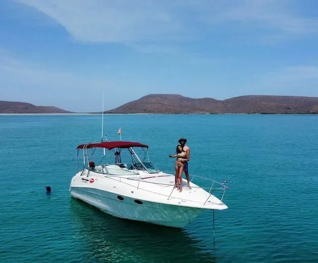 Rent a 10.8m Motor Yacht Cruiser Yachts 3375 in La Paz