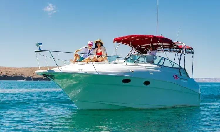 Rent a 10.8m Motor Yacht Cruiser Yachts 3375 in La Paz