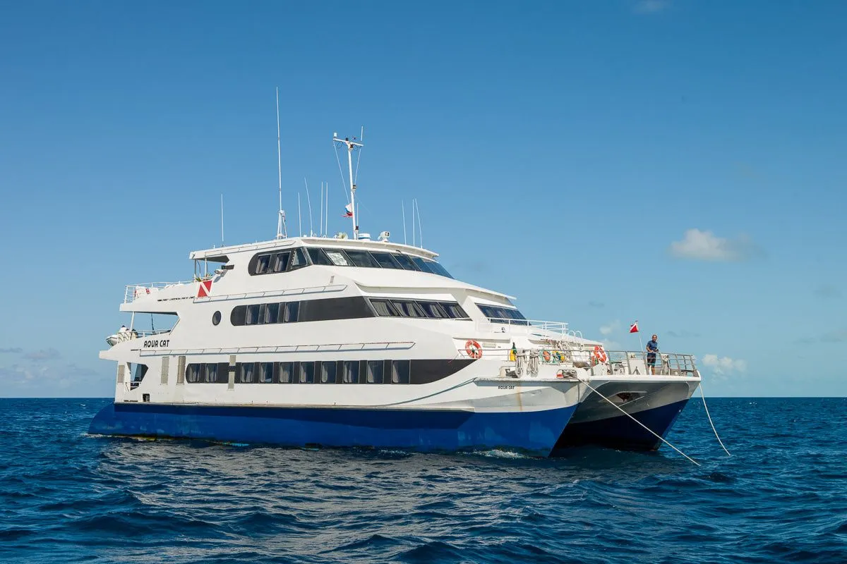 Rent a 31m Boat in Palm Cay