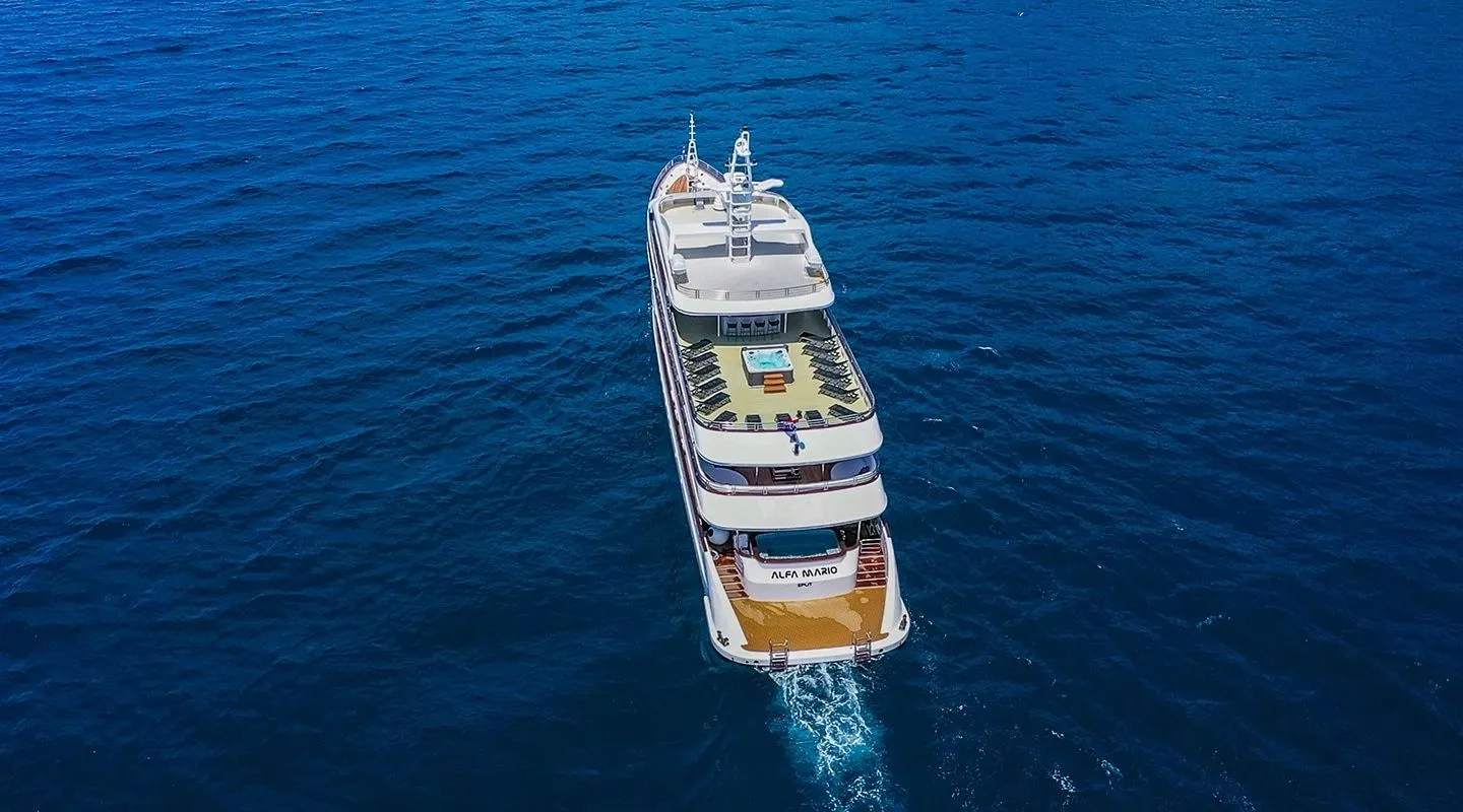 Alfa  Mario Charter Boat - 3