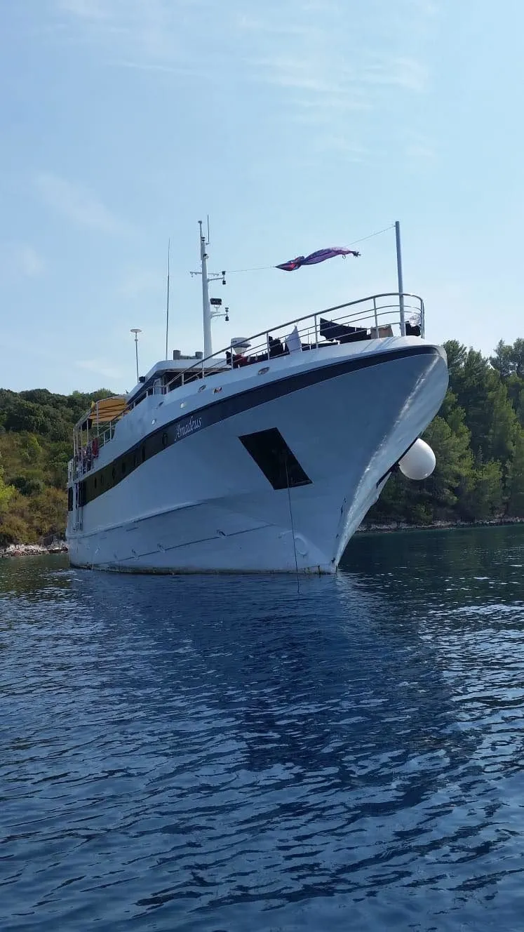 Чартер Amadeus - 4