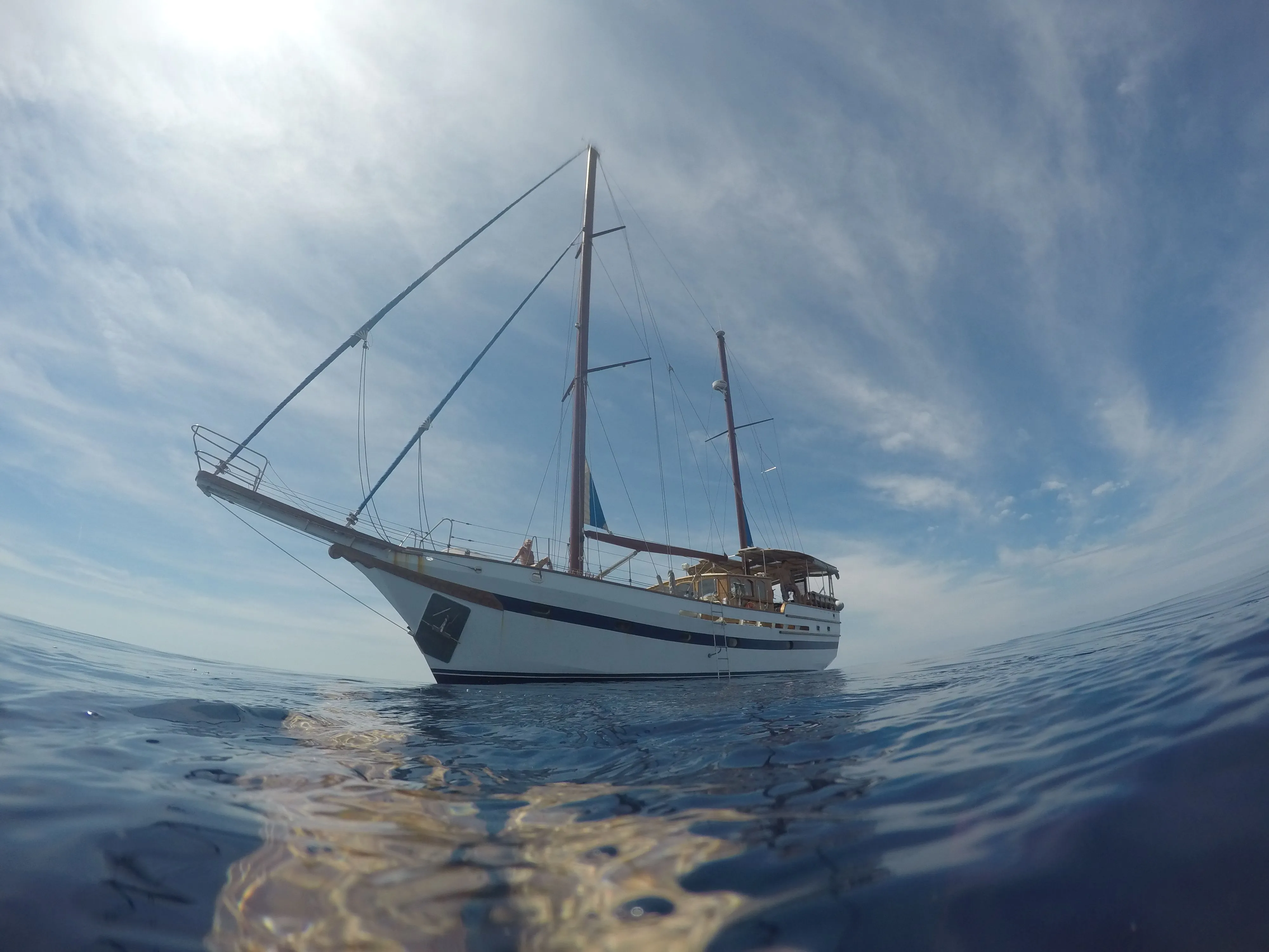 Dream Island Mietboot