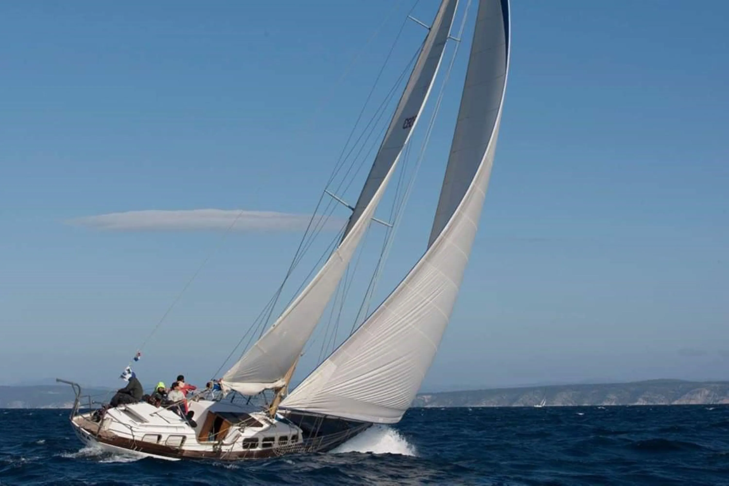 Чартер Zora - 3