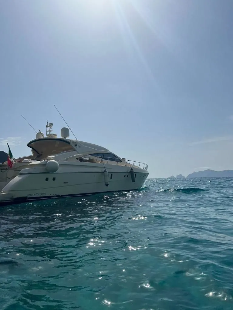 Viper One Charter Boat