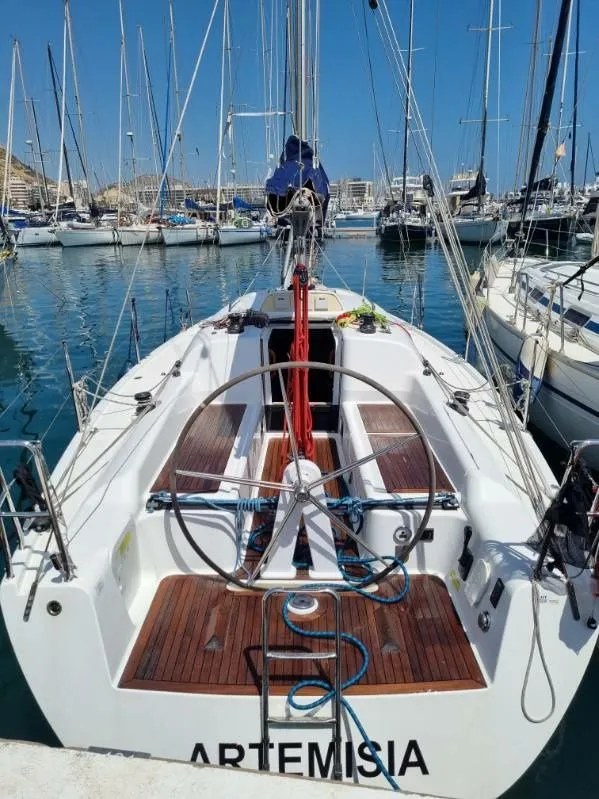Artemisia Charter Boat