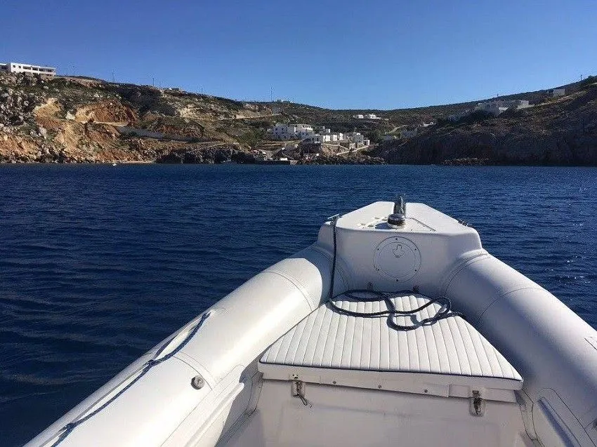 Dolphin Charter Boat